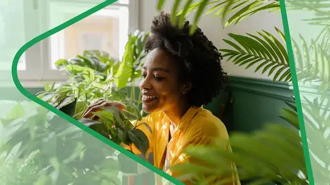 App do Dia — PictureThis: Conheça espécies e cuidados por meio da identificação de plantas! 3 App do Dia — PictureThis: Conheça espécies e cuidados por meio da identificação de plantas!